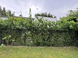 Mcmahon Park (D10), Detached #628455911